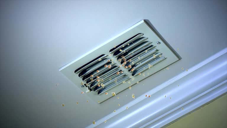 Best Ventilation Cleaning Services  in Swift Trail Junction, AZ