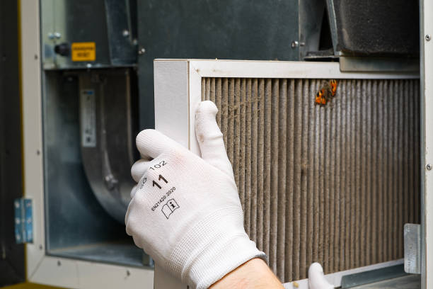 Air Quality Test in Swift Trail Junction, AZ