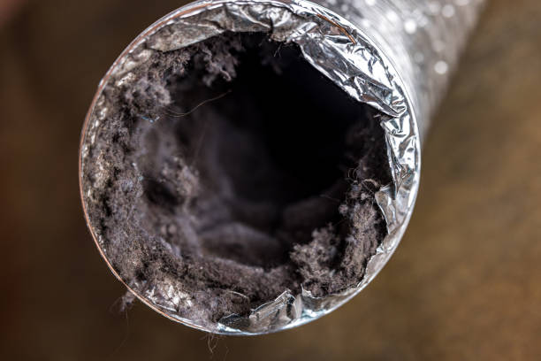 Best HVAC System Cleaning  in Swift Trail Junction, AZ